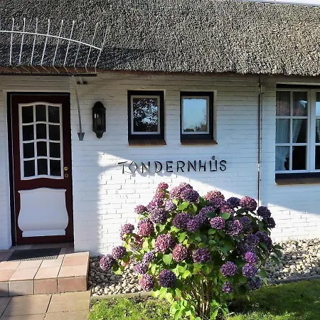 Tondernhues *
